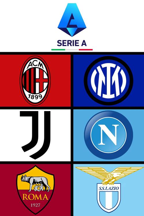 第16轮：欧塞尔3-4里尔