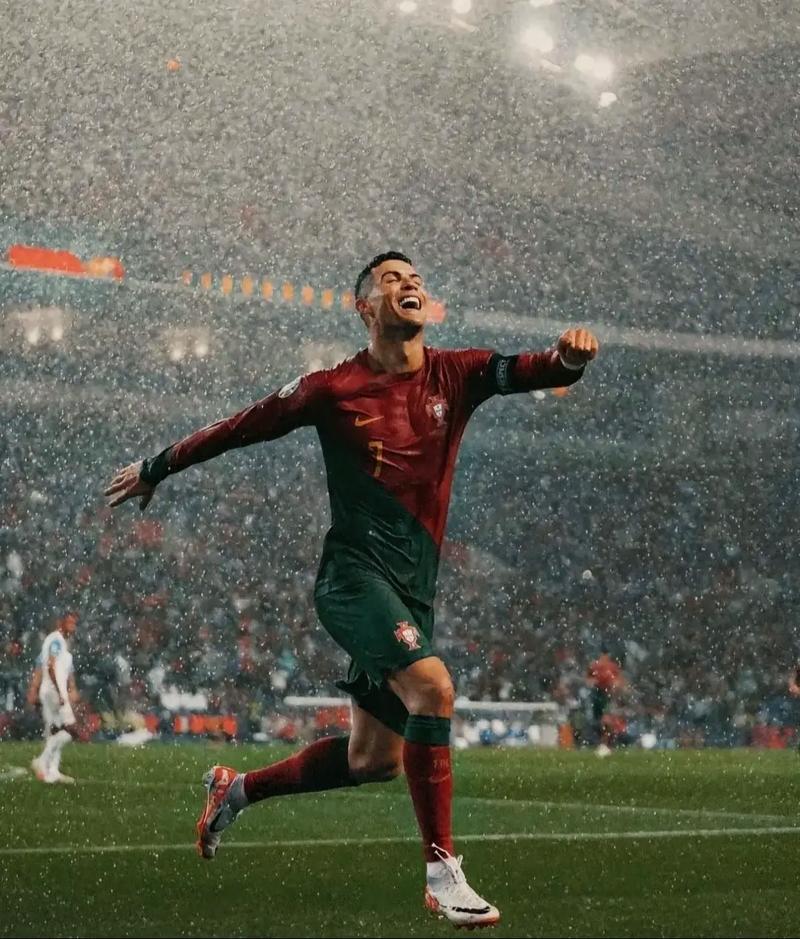 《神之天平》毛毛果怎么获得